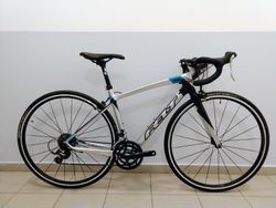 Felt ZW7
