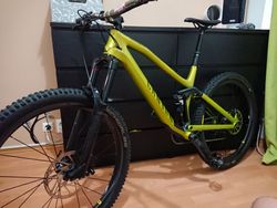 Canyon Spectral CF 8.0 EX M