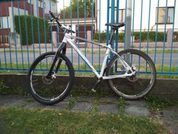 Author Egoist 27.5''