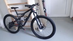 epic fsr expert carbon 29