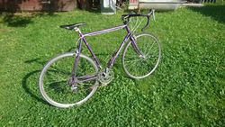 Sannino vel. 56