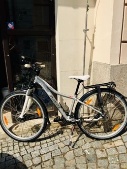 Prodám dámské fitness kolo Specialized Ariel