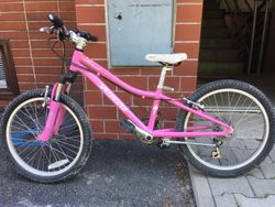 Dětské kolo Specialized Hotrock 20"