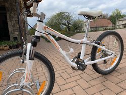 Specialized Hotrock 20 6-Speed
