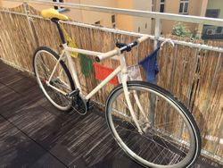 singlespeed, torpedo
