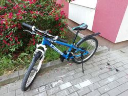 Dětské kolo Pells Razzer 24"
