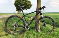 S - WORKS Specialized, 29", XTR