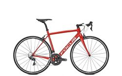 FOCUS IZALCO RACE 9.8 MODEL 2019