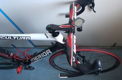 MERIDA scultura 905 com