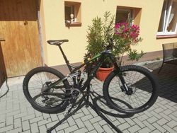 Trek Remedy