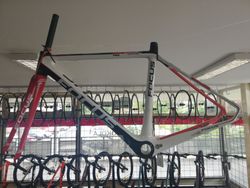 Focus izalco pro