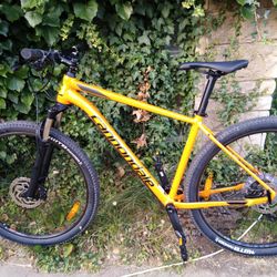 Cannondale Trail 3
