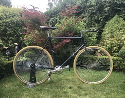 Fixka Raleigh !POUZE ZA 17.900,- Kč!