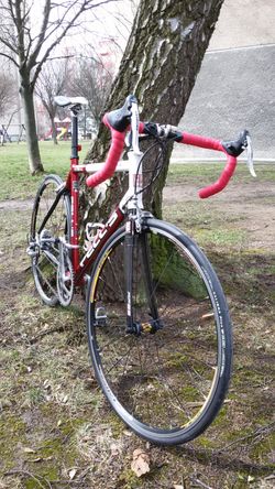 Pell's Speedy Carbon "L" na Campagnolo Veloce