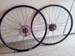 Kola Specialized