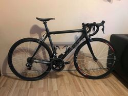 IBIS SILK SL karbon, dura-ace Di2, 55