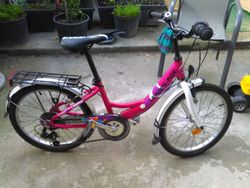 Divci kolo Leader Fox 20"