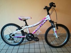 Kellys Lumi 50 20"