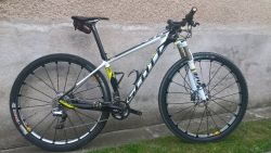 Scott scale 920
