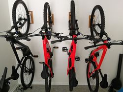 Specialized Levo