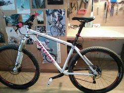 Trail bike 29"