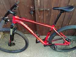 specialized crave