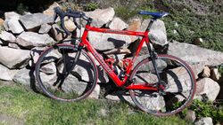 Author A6603 hliník/karbon, Ultegra, Fulcrum racing 5, velikost 60, compact převody