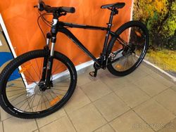 Kellys Spider 90 2019