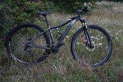Dámské kolo Specialized Jett 29" velikost M