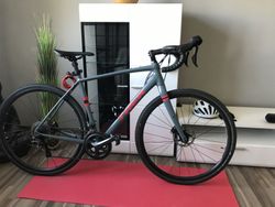 Trek Checkpoint Al4
