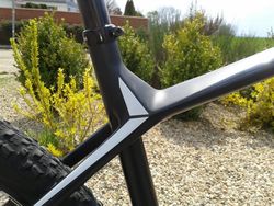 Focus Raven 29r 3.0