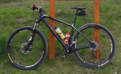 Focus Raven 29r 3.0