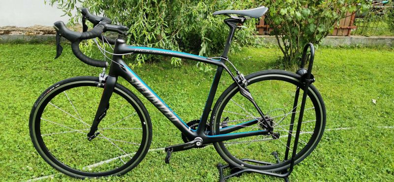 Specialized Roubaix Expert SL4