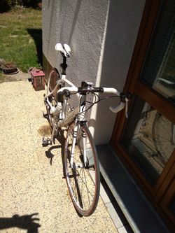 prodám Specialized Allez