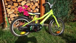 Dema Drobec 16