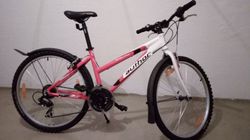 Divci MTB kolo