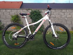 Maxbike Taupo lady 27.5