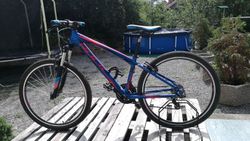 Zánovní Rock Machine