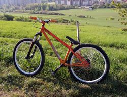 SPECIALIZED P2