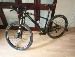 Focus Raven 29"R