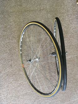 Wolber Aspin/campagnolo 8