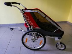 CHARIOT COUGAR1