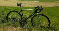 cannondale