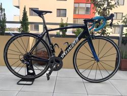 Specialized Tarmac SL4 Pro