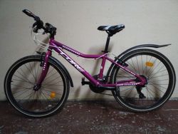Dětské kolo Core Nipper 24"
