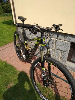 Kellys Reyon 50