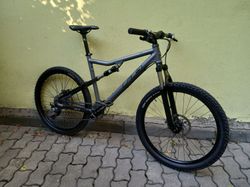 RB IQ