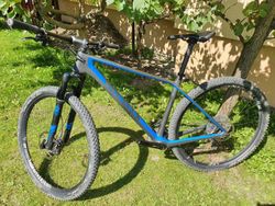 Canyon Exceed Cf Sl