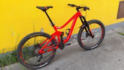 Giant Reign SX 2 2019