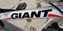 Dětské kolo Giant 20